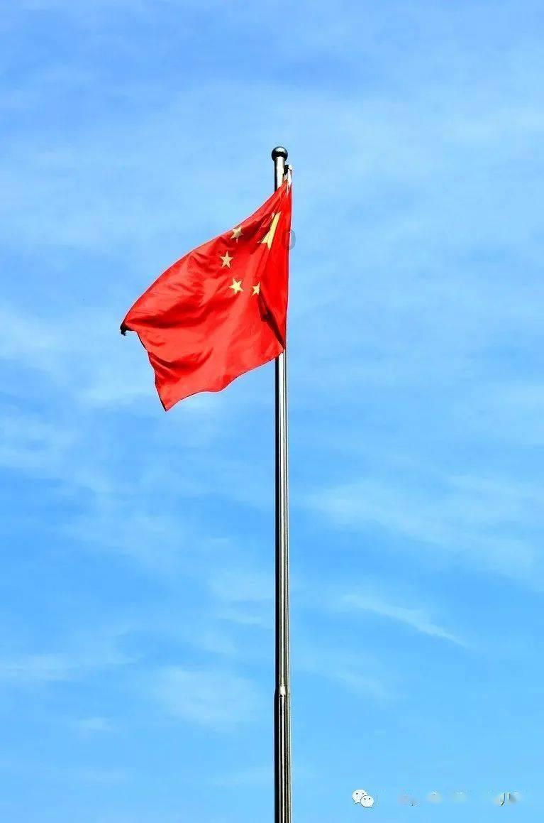 失忆的流浪者